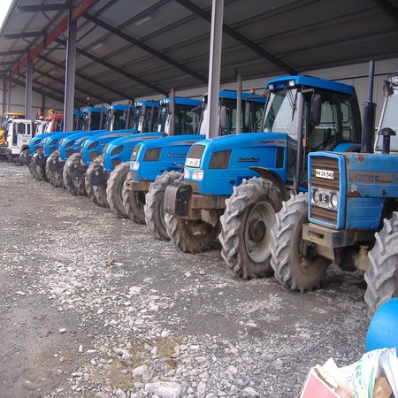 Landini`s